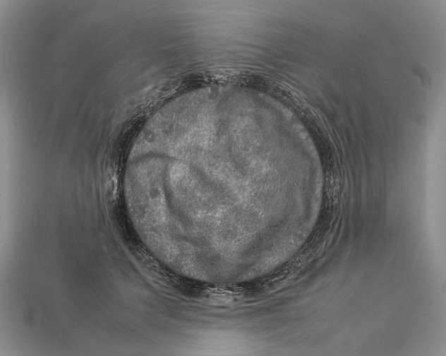 X0000112950703200909211154