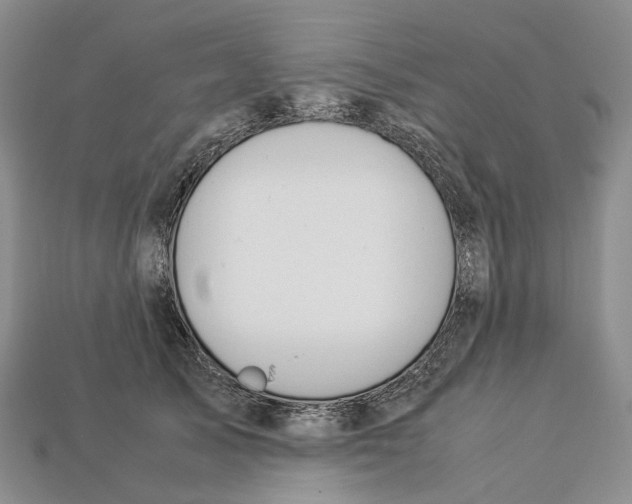 X0000112950705200909211154