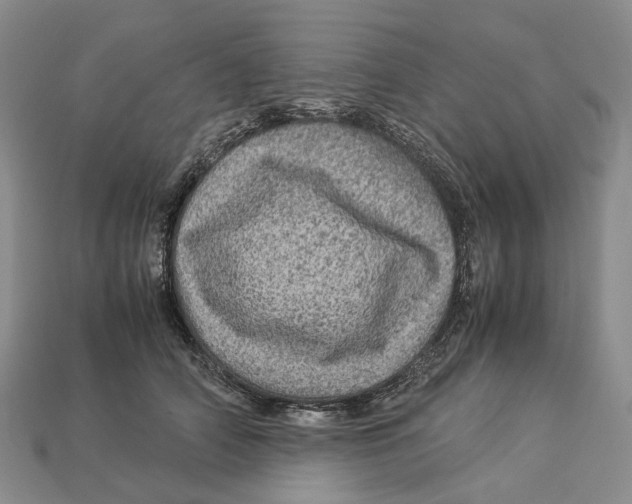 X0000112950706200909211154