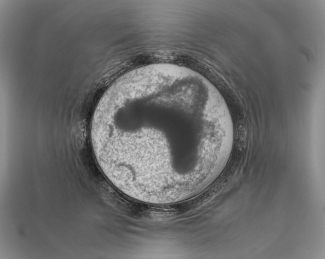 X0000112950707200909211154