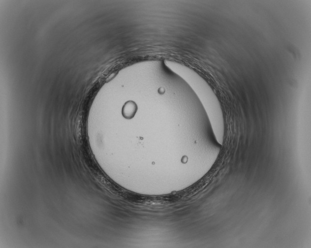 X0000112950708200909211154