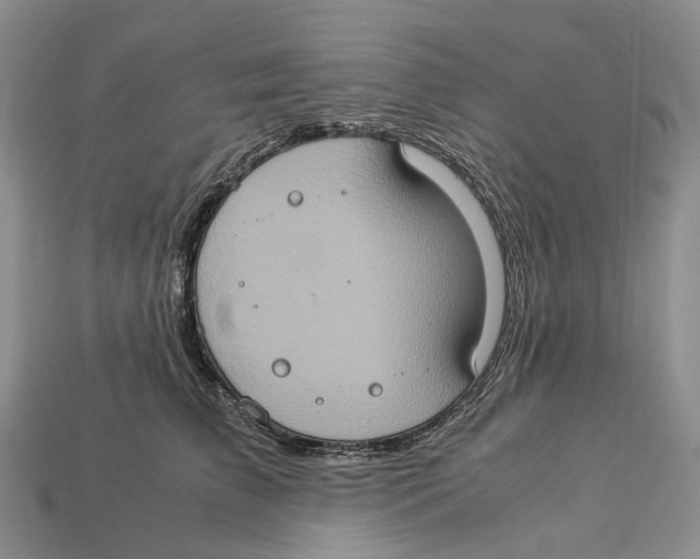 X0000112950709200909211154