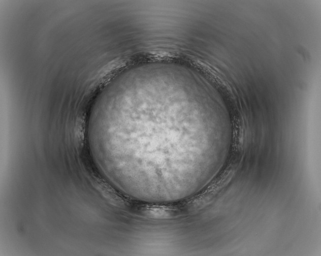 X0000112950710200909211154