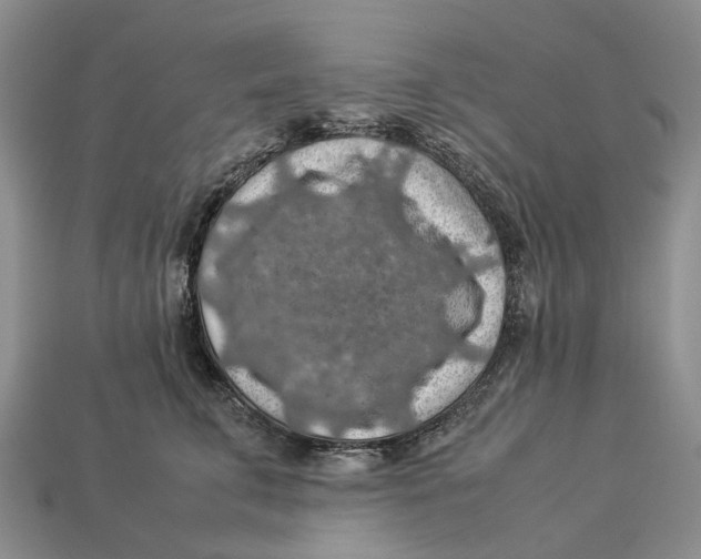 X0000112950711200909211154