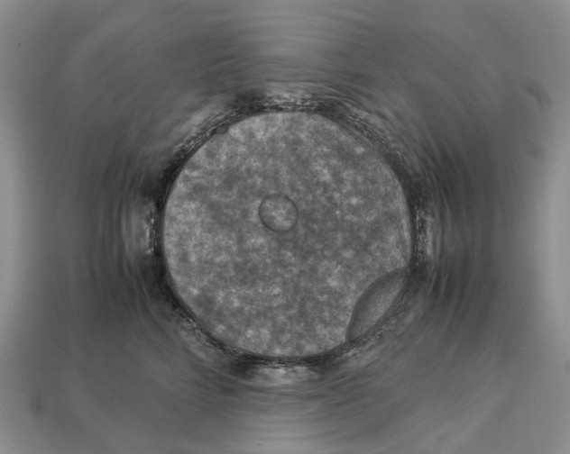 X0000112950712200909211154