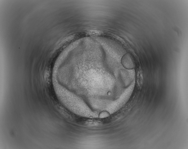 X0000112950714200909211154