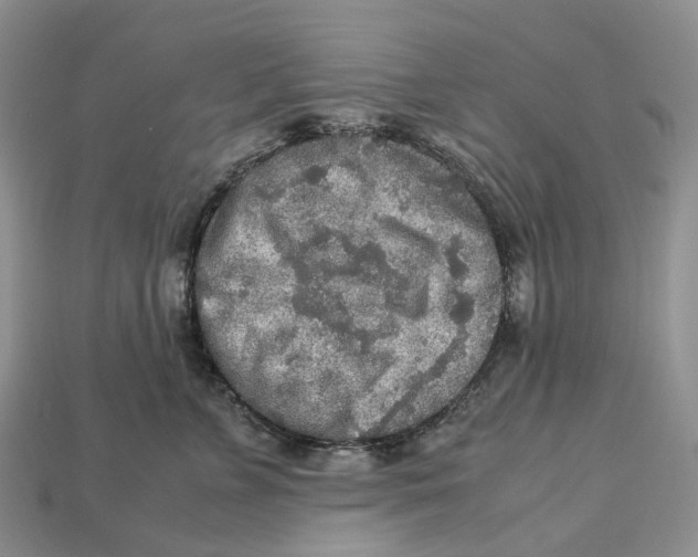 X0000112950715200909211154