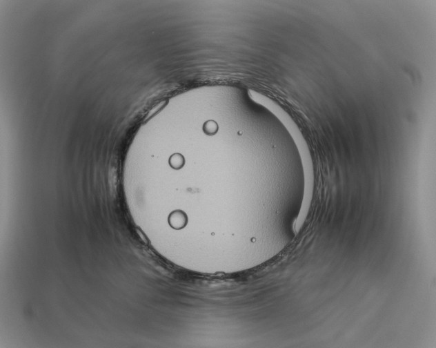 X0000112950716200909211154