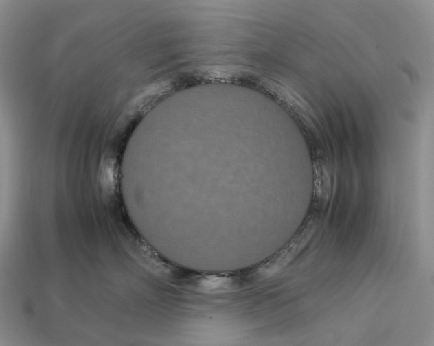 X0000112950718200909211154