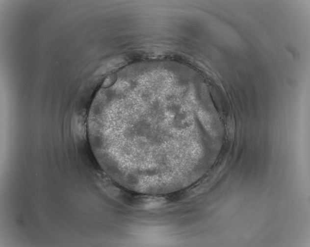 X0000112950719200909211154