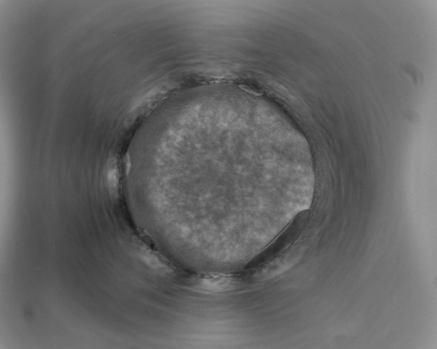 X0000112950720200909211154