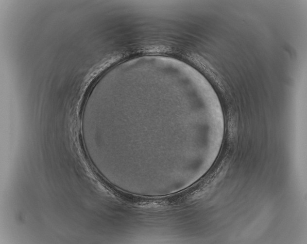 X0000112950721200909211154