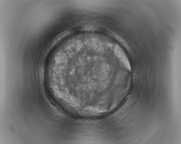 X0000112950722200909211154