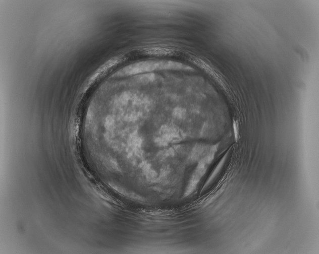 X0000112950723200909211154