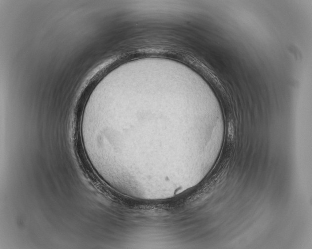 X0000112950724200909211154