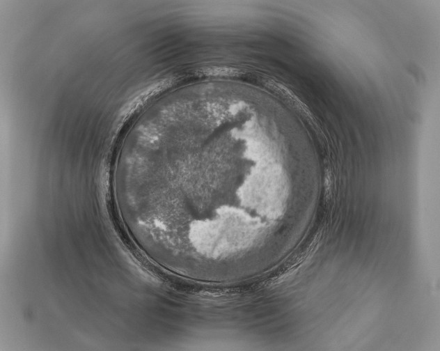 X0000112950725200909211154