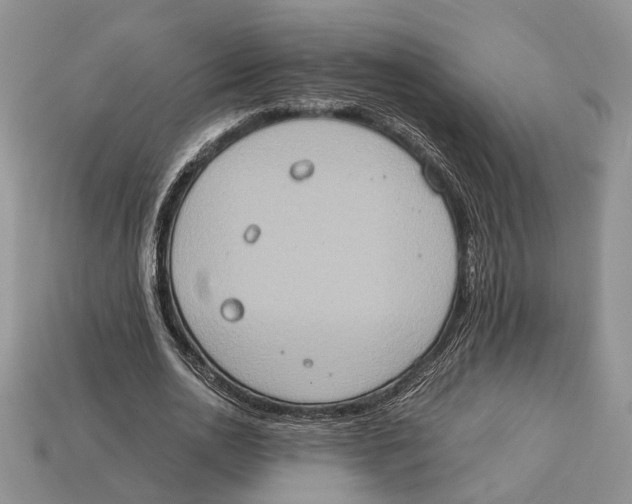 X0000112950726200909211154