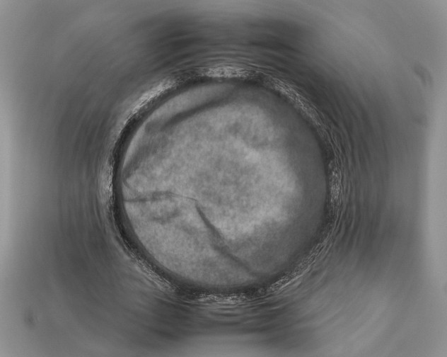 X0000112950727200909211154