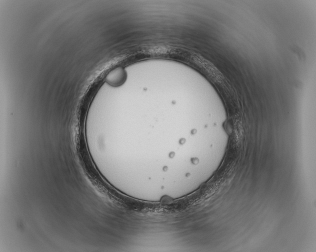 X0000112950728200909211154