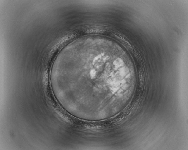 X0000112950729200909211154