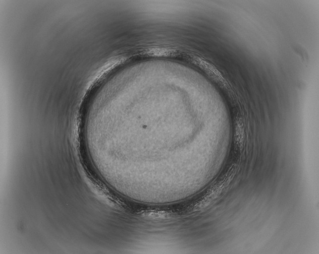 X0000112950730200909211154