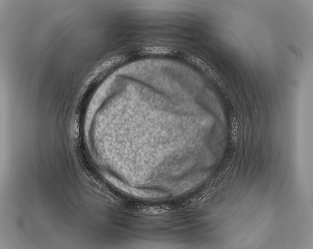 X0000112950731200909211154