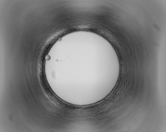 X0000112950732200909211154