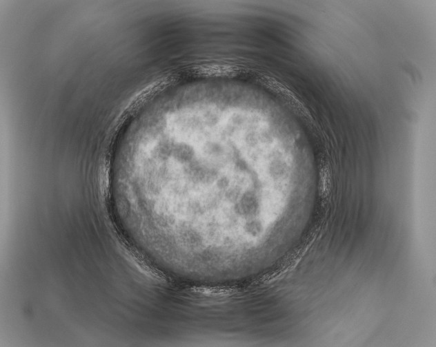 X0000112950733200909211154