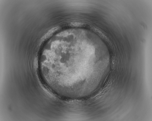 X0000112950734200909211154