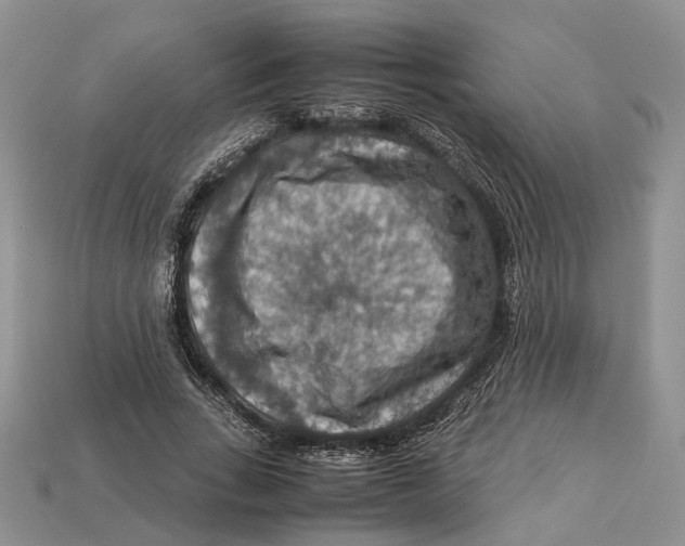 X0000112950735200909211154