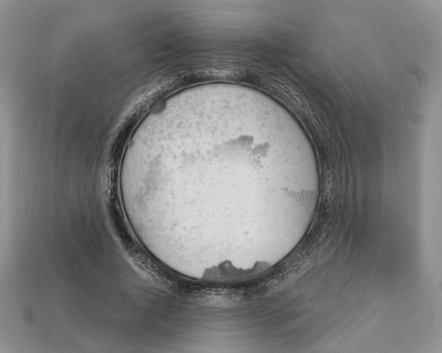 X0000112950736200909211154