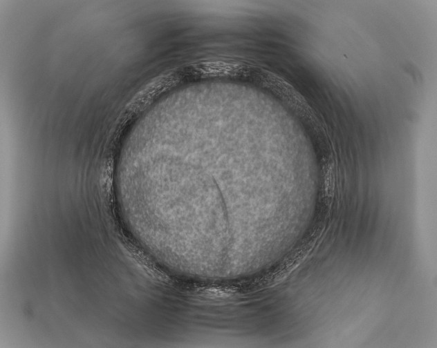 X0000112950737200909211154