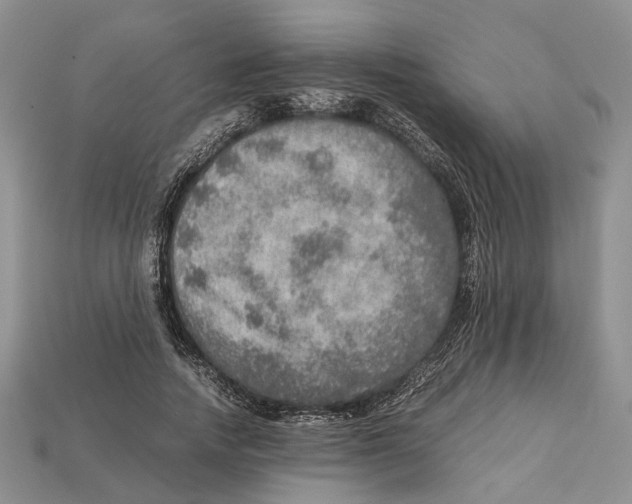 X0000112950738200909211154