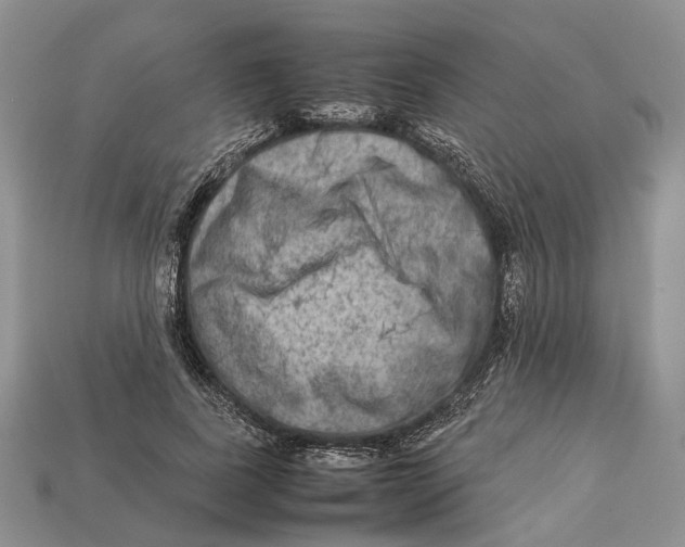 X0000112950739200909211154