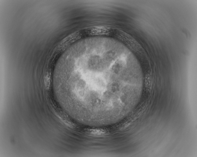 X0000112950741200909211154