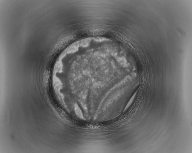 X0000112950742200909211154