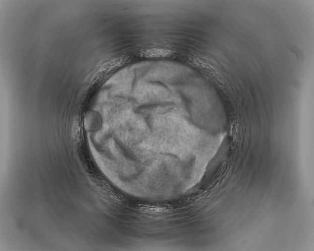 X0000112950743200909211154