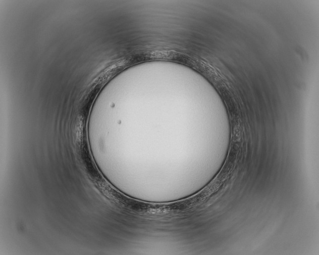 X0000112950744200909211154