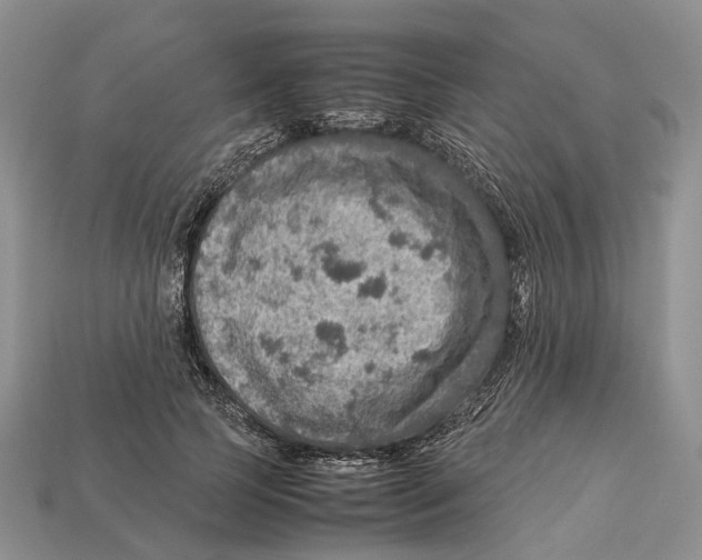 X0000112950745200909211154