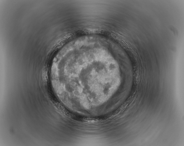 X0000112950746200909211154