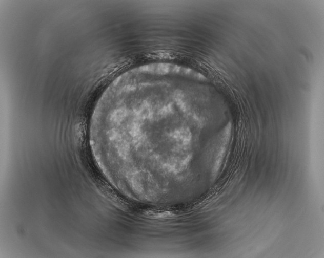 X0000112950747200909211154