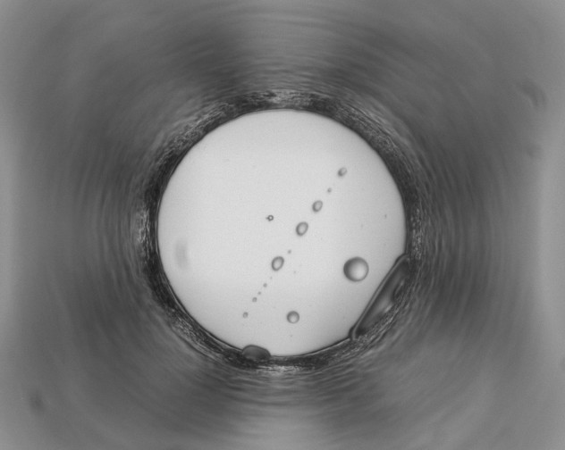 X0000112950748200909211154