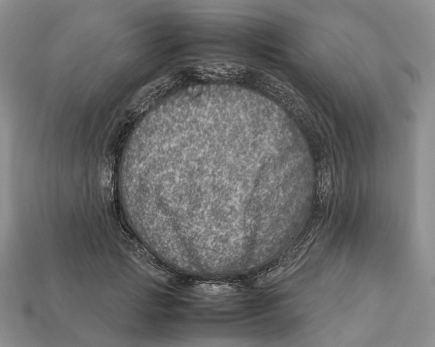 X0000112950749200909211154