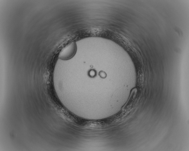 X0000112950750200909211154