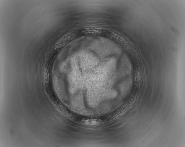 X0000112950751200909211154