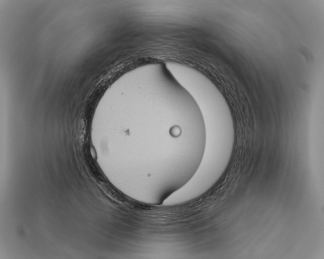 X0000112950752200909211154