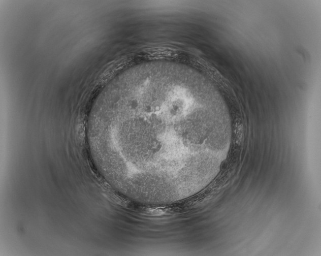 X0000112950753200909211154