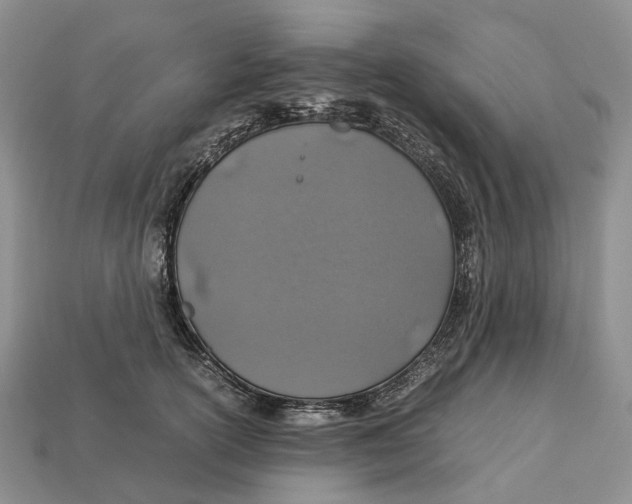 X0000112950754200909211154