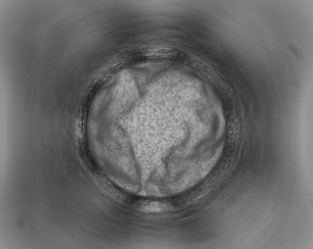 X0000112950755200909211154