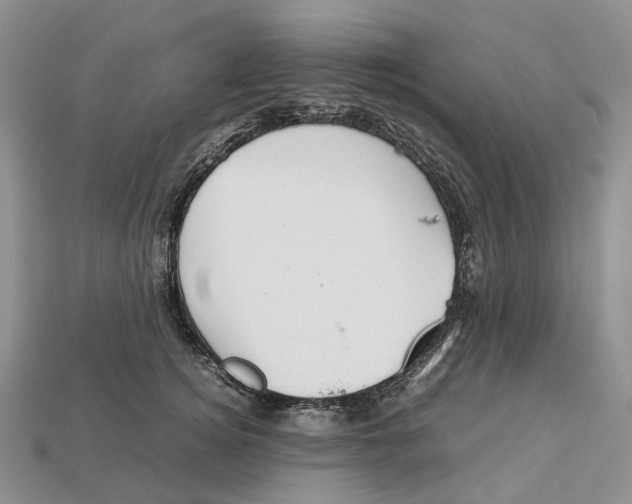 X0000112950756200909211154